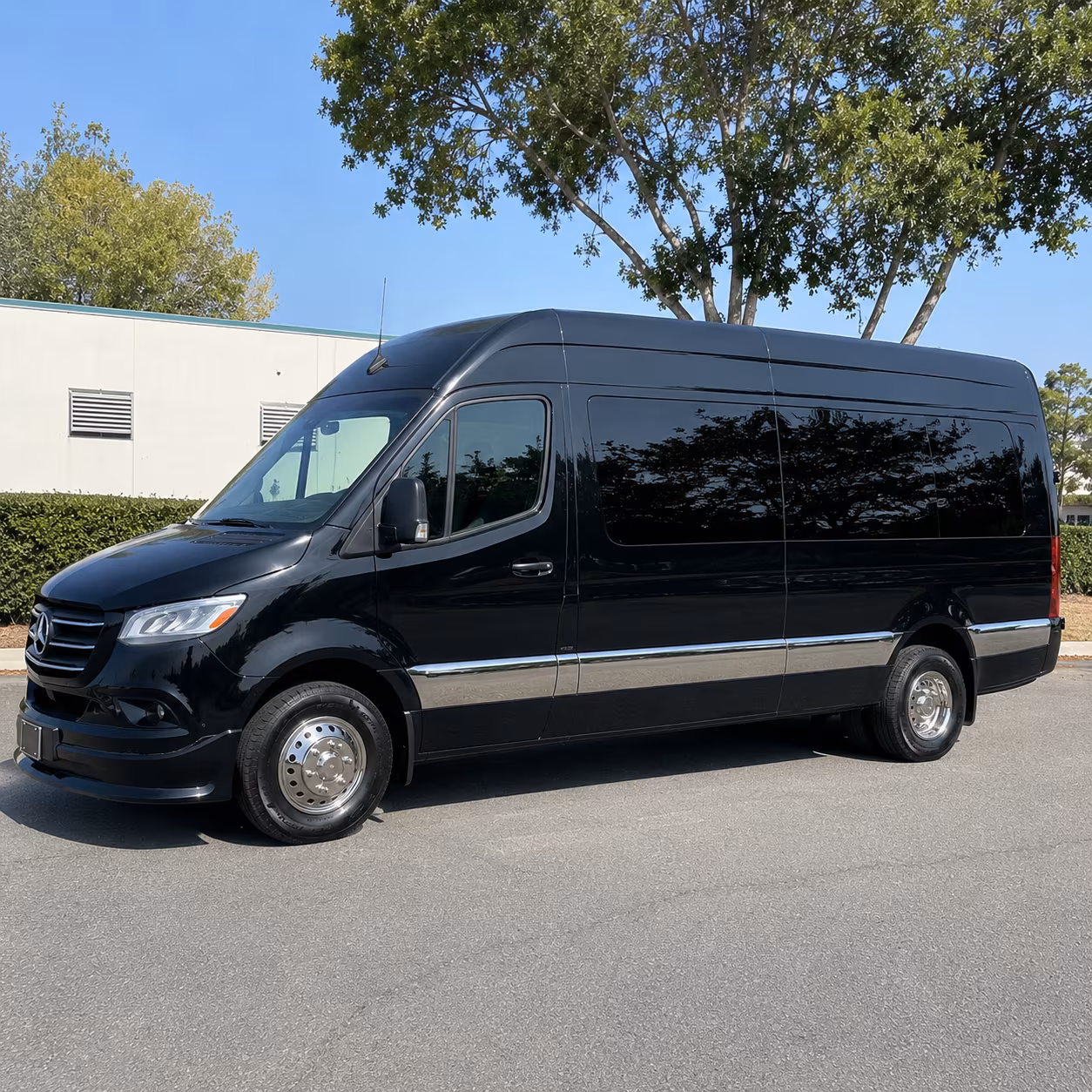 newport news 12 passenger sprinter van