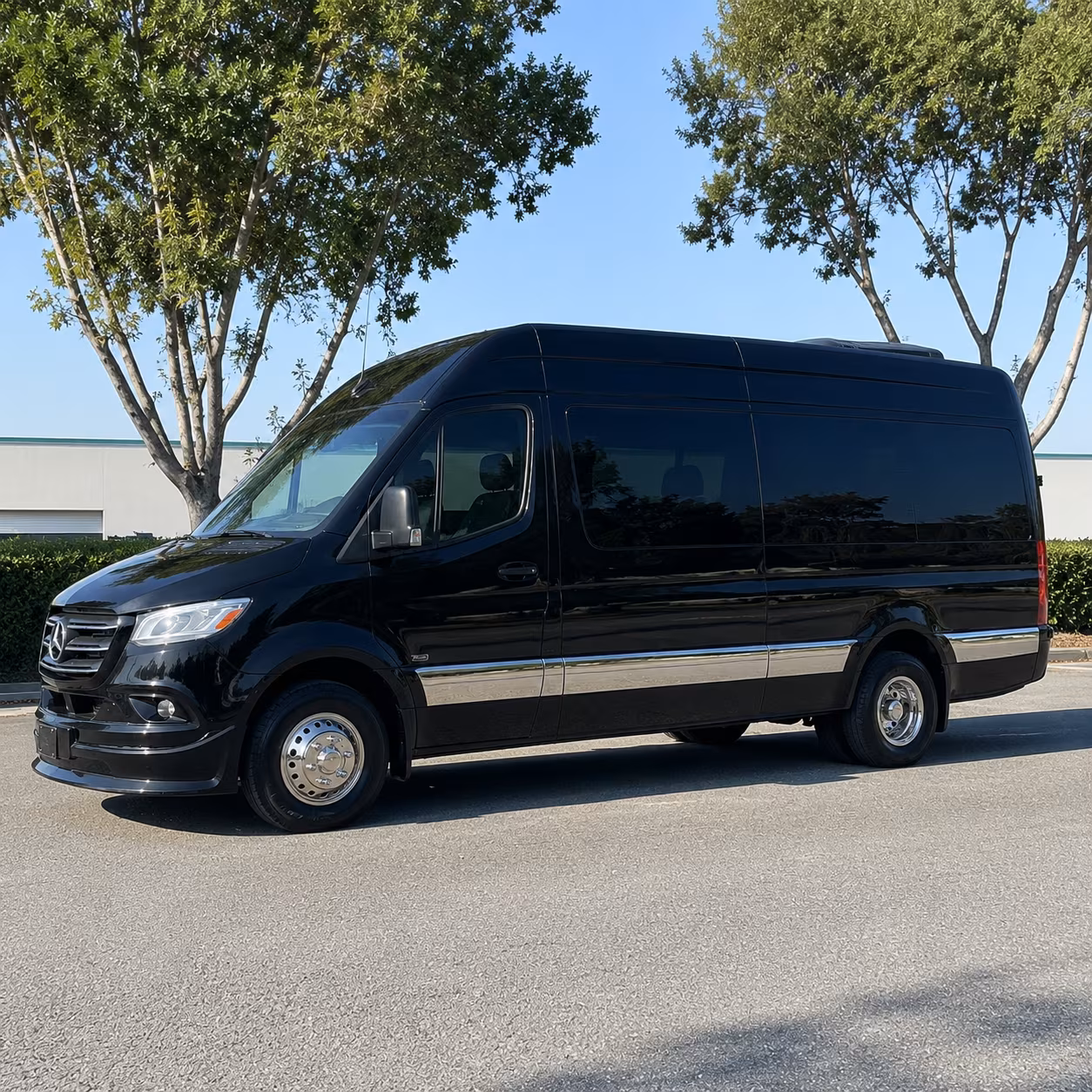 newport news 8 passenger sprinter van